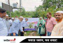 জুলাই যোদ্ধাদের স্মরণে বিএমডিএর আলোচনা সভা ও বৃক্ষরোপণ