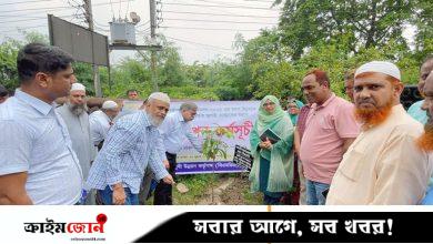 জুলাই যোদ্ধাদের স্মরণে বিএমডিএর আলোচনা সভা ও বৃক্ষরোপণ