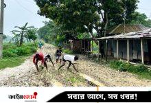 কাঁচা সড়কে ধানের চারা রোপণ করে প্রতিবাদ