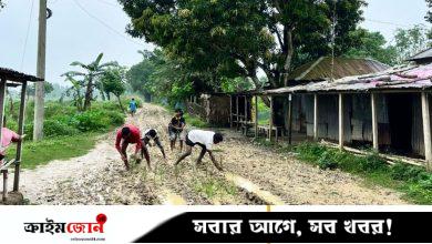 কাঁচা সড়কে ধানের চারা রোপণ করে প্রতিবাদ