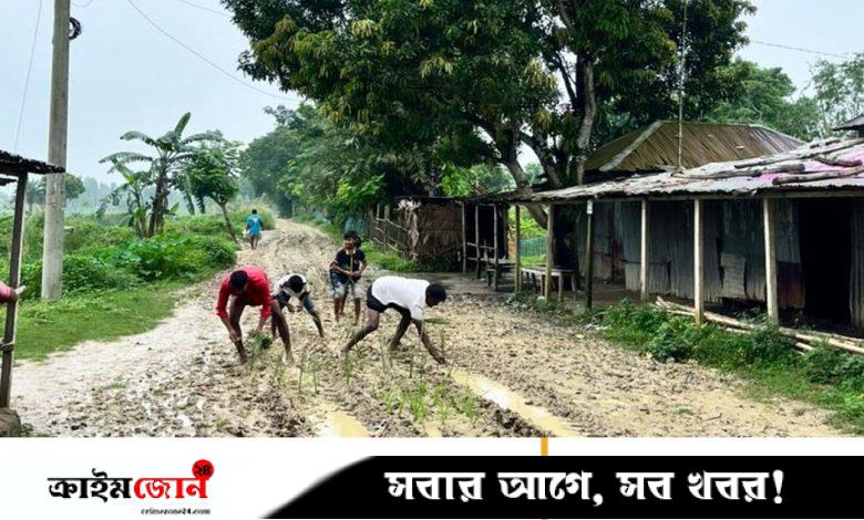 কাঁচা সড়কে ধানের চারা রোপণ করে প্রতিবাদ