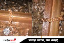 রেললাইনে শিকল পেঁচিয়ে নাশকতার চেষ্টা, ১ ঘণ্টা ট্রেন চলাচল বন্ধ