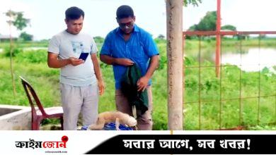 শ্রীমঙ্গলে বিরল প্রজাতির লজ্জাবতী বানর উদ্ধার