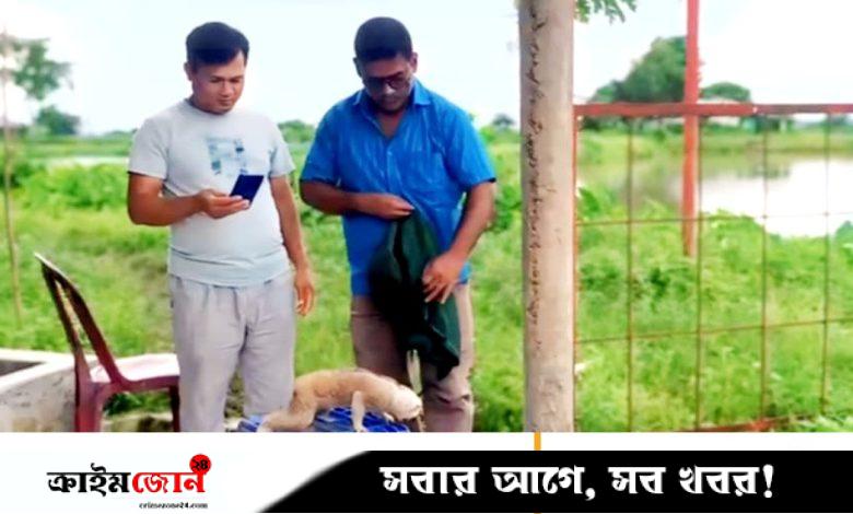 শ্রীমঙ্গলে বিরল প্রজাতির লজ্জাবতী বানর উদ্ধার