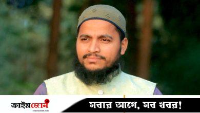 ‘জুলাই যোদ্ধা’ পরিচয়ে হামলা চালিয়ে আসামি ছিনতাই, আহত এসআই