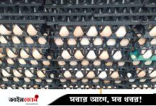 লেগুনা গাড়ি থেকে ১৯ হাজার পচা ডিম জব্দ, পরে করতোয়া নদীতে ধ্বংস