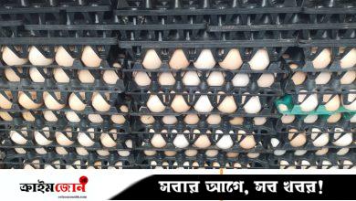 লেগুনা গাড়ি থেকে ১৯ হাজার পচা ডিম জব্দ, পরে করতোয়া নদীতে ধ্বংস
