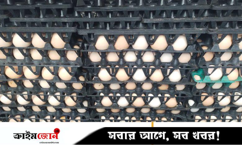 লেগুনা গাড়ি থেকে ১৯ হাজার পচা ডিম জব্দ, পরে করতোয়া নদীতে ধ্বংস