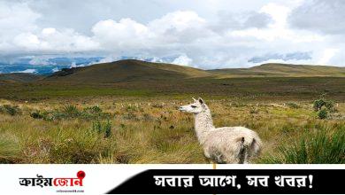 ইকুয়েডরের প্রাকৃতিক স্বর্গ হঠাৎ অস্তিত্ব সংকটে, নেপথ্যে বিপুল সোনা