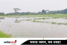 পানির নিচে ৫০০ বিঘা জমি