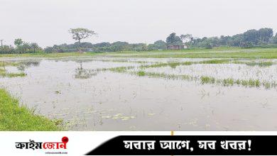 পানির নিচে ৫০০ বিঘা জমি