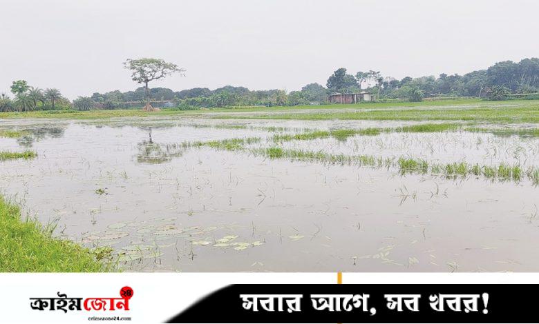পানির নিচে ৫০০ বিঘা জমি