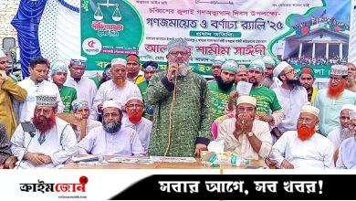 শেখ পরিবারের সবাই চোর-ডাকাত: শামীম সাঈদী