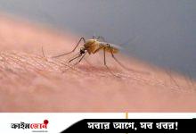 চীনে বেড়েছে চিকুনগুনিয়া সংক্রমণ, আক্রান্ত ৭ হাজারেরও বেশি