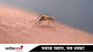 চীনে বেড়েছে চিকুনগুনিয়া সংক্রমণ, আক্রান্ত ৭ হাজারেরও বেশি