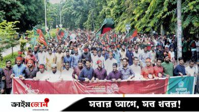 এ সরকার কোনো বিপ্লবী সরকার নয়, এটি অলস সরকার: শিবির সভাপতি
