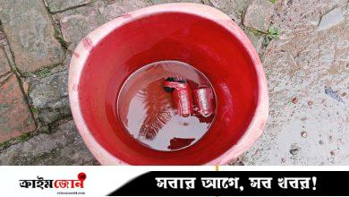 ফরিদপুরে বসতবাড়ির আঙিনায় মিলল দুটি ককটেল