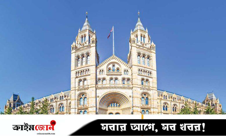 ন্যাচারাল হিস্ট্রি মিউজিয়াম