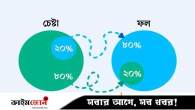 ২০% প্রচেষ্টায় ৮০% ফল পাবেন যেভাবে