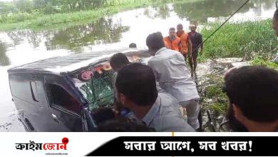 মাইক্রোবাস নিয়ন্ত্রণ হারিয়ে খালে, একই পরিবারের ৬ জন নিহত