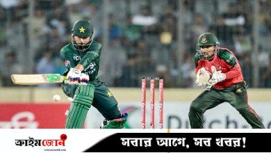 ‘বাংলাদেশের কাছে পাকিস্তানের এভাবে হেরে যাওয়া উচিত হয়নি’