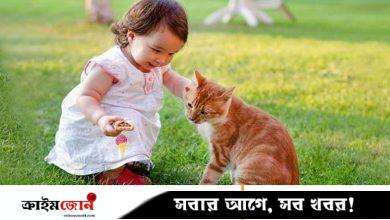 প্রাণীর প্রতি দয়াপরশ হতে শেখায় ইসলাম