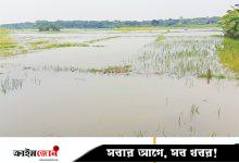 খাল দখল কোম্পানির চার মাঠে জলাবদ্ধতা