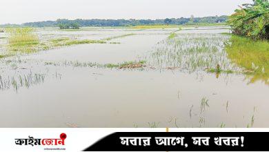 খাল দখল কোম্পানির চার মাঠে জলাবদ্ধতা
