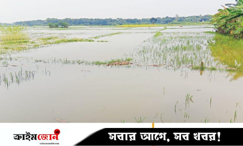 খাল দখল কোম্পানির চার মাঠে জলাবদ্ধতা