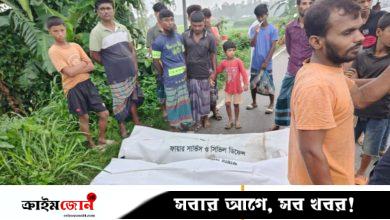 টাঙ্গাইলে পিকআপ-মোটরসাইকেল সংঘর্ষে নিহত ৩