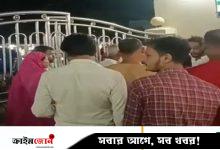 মাদারীপুরে ভিমরুলের কামড়ে প্রাণ গেল শিশুর