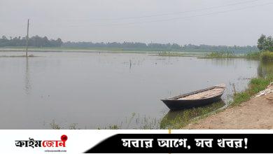 সিরাজগঞ্জ পয়েন্টে যমুনা নদীর পানি বাড়ছে