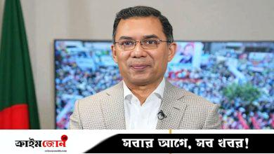 বিএনপি সরকার গঠন করলে তারেক রহমানই হবেন প্রধানমন্ত্রী: হুমায়ুন
