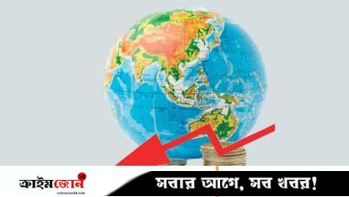 আসেনি প্রত্যাশার বিনিয়োগ