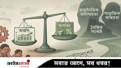 অর্জন, ব্যর্থতা ও ভবিষ্যৎ প্রতিবন্ধকতা