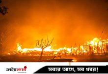 ফ্রান্সের দক্ষিণাঞ্চলে দাবানলে পুড়েছে ১৬০ বর্গকিলোমিটার এলাকা