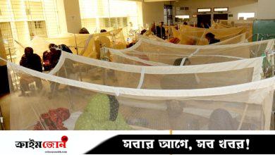 ডেঙ্গু আক্রান্ত হয়ে হাসপাতালে ভর্তি আরও ১৯০ জন
