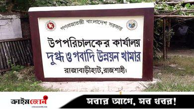 সর্বোচ্চ দরেও কাজ আওয়ামী সিন্ডিকেটে