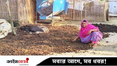 কেঁচো সারে ভাগ্যবদল মাকরাইল গ্রামের নারীদের