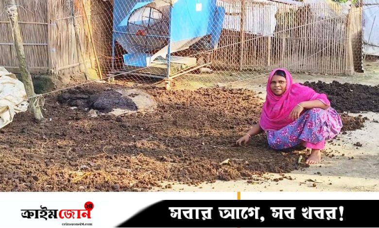কেঁচো সারে ভাগ্যবদল মাকরাইল গ্রামের নারীদের