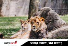 চিড়িয়াখানার বাঘ-সিংহকে খাওয়াতে পোষাপ্রাণী দান করার আহ্বান