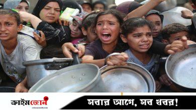 গাজাবাসীর জন্য সাহায্যের আবেদনকে ‘স্ক্যাম’ বলছে ব্লুস্কাই