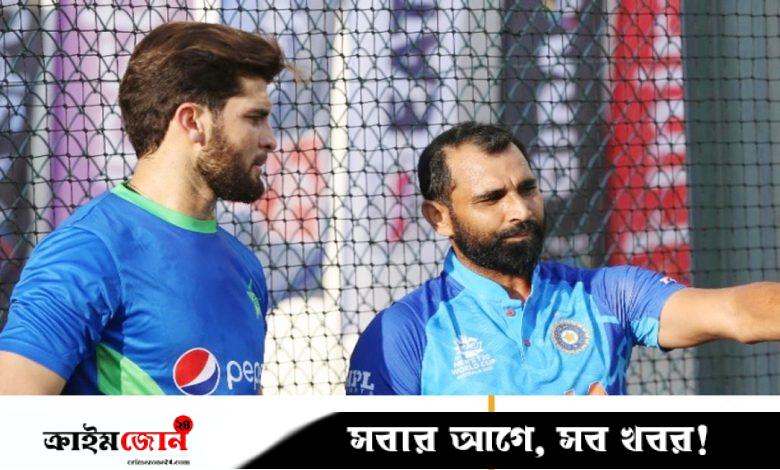 ভারতের শামিকে হটিয়ে সবার ওপরে পাকিস্তানের শাহিন