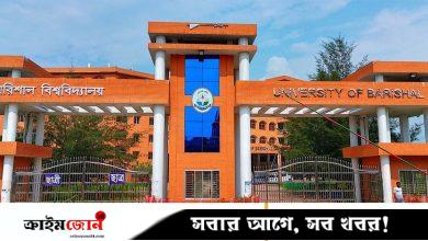 বরিশাল বিশ্ববিদ্যালয়ে উন্নয়ন প্রকল্পের পিডি করতে উপাচার্যকে চাপ