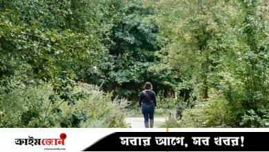 প্রকৃতির সঙ্গে মানুষের সংযোগ ৬০ শতাংশ কমেছে দুইশ বছরে: গবেষণা