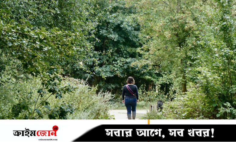 প্রকৃতির সঙ্গে মানুষের সংযোগ ৬০ শতাংশ কমেছে দুইশ বছরে: গবেষণা