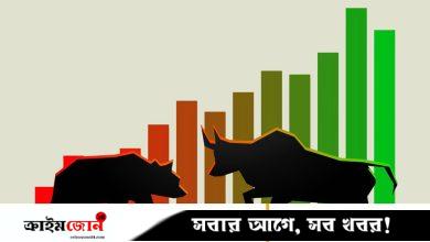 লেনদেনে পড়তি, মূলধন বাড়তি