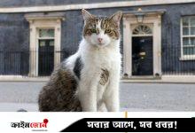 ব্রিটিশ প্রধানমন্ত্রীর কার্যালয়ে ১৫ বছর ধরে ‘চিফ মাউজারের’ দায়িত্ব পালন করছে যে বিড়াল