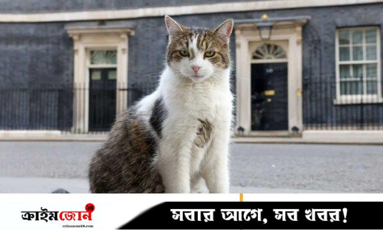 ব্রিটিশ প্রধানমন্ত্রীর কার্যালয়ে ১৫ বছর ধরে ‘চিফ মাউজারের’ দায়িত্ব পালন করছে যে বিড়াল