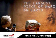 ৫২ কোটি টাকায় নিউইয়র্কে বিক্রি হলো মঙ্গলগ্রহের পাথর, ভাগ চায় নাইজারও